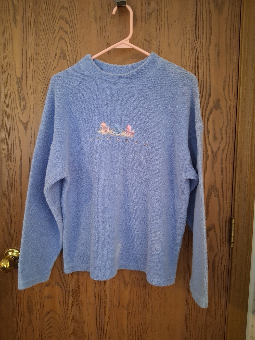 Light Blue Plush Crewneck Sweatshirt with Embroidered Detail